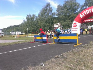IMG 20160619 102802                  